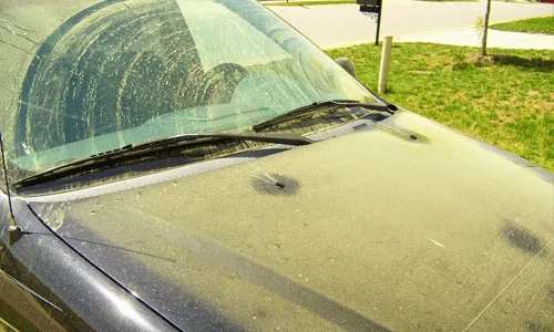 Protect your car from pollen