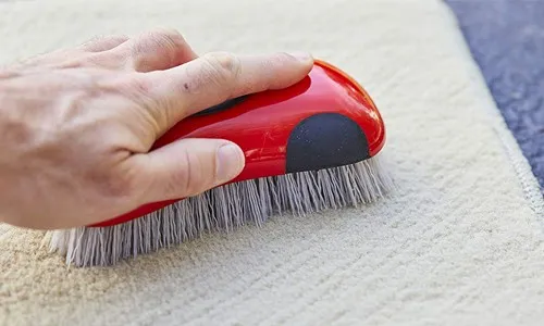 carpet brush for detailing